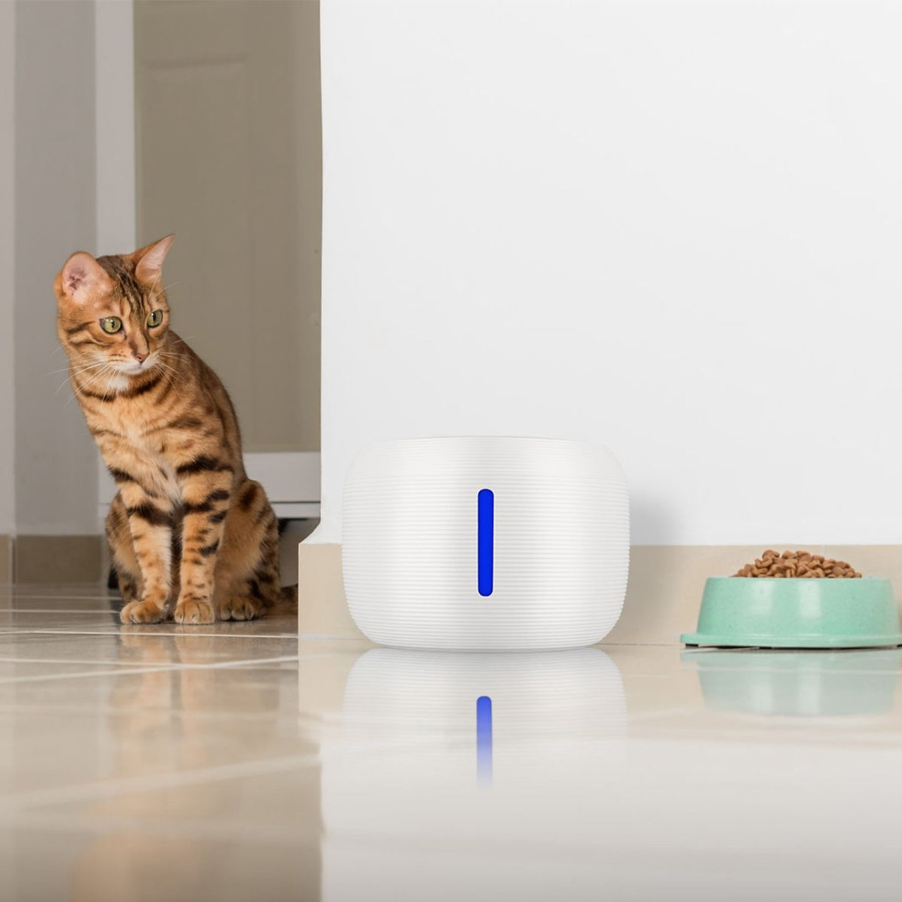 iMounTEK® Automatic Pet Water Fountain product image