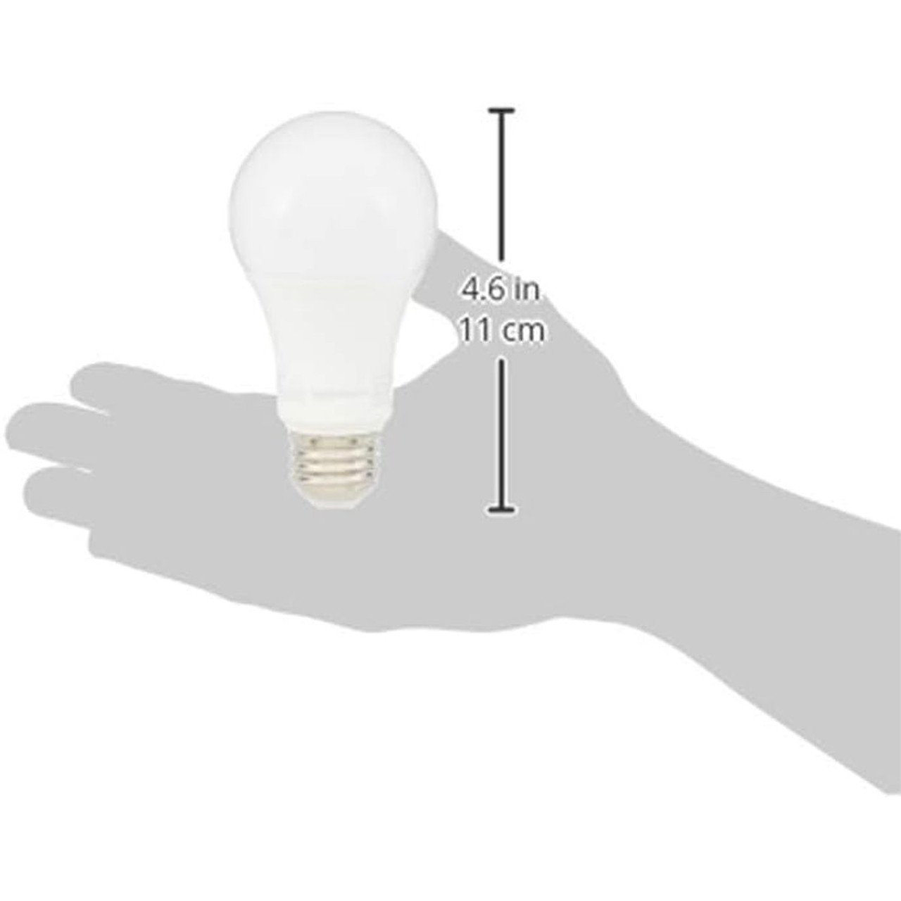 A19 LED Warm White 3000K Light Bulb by Amazon Basics® (12- or 16-Pack) product image