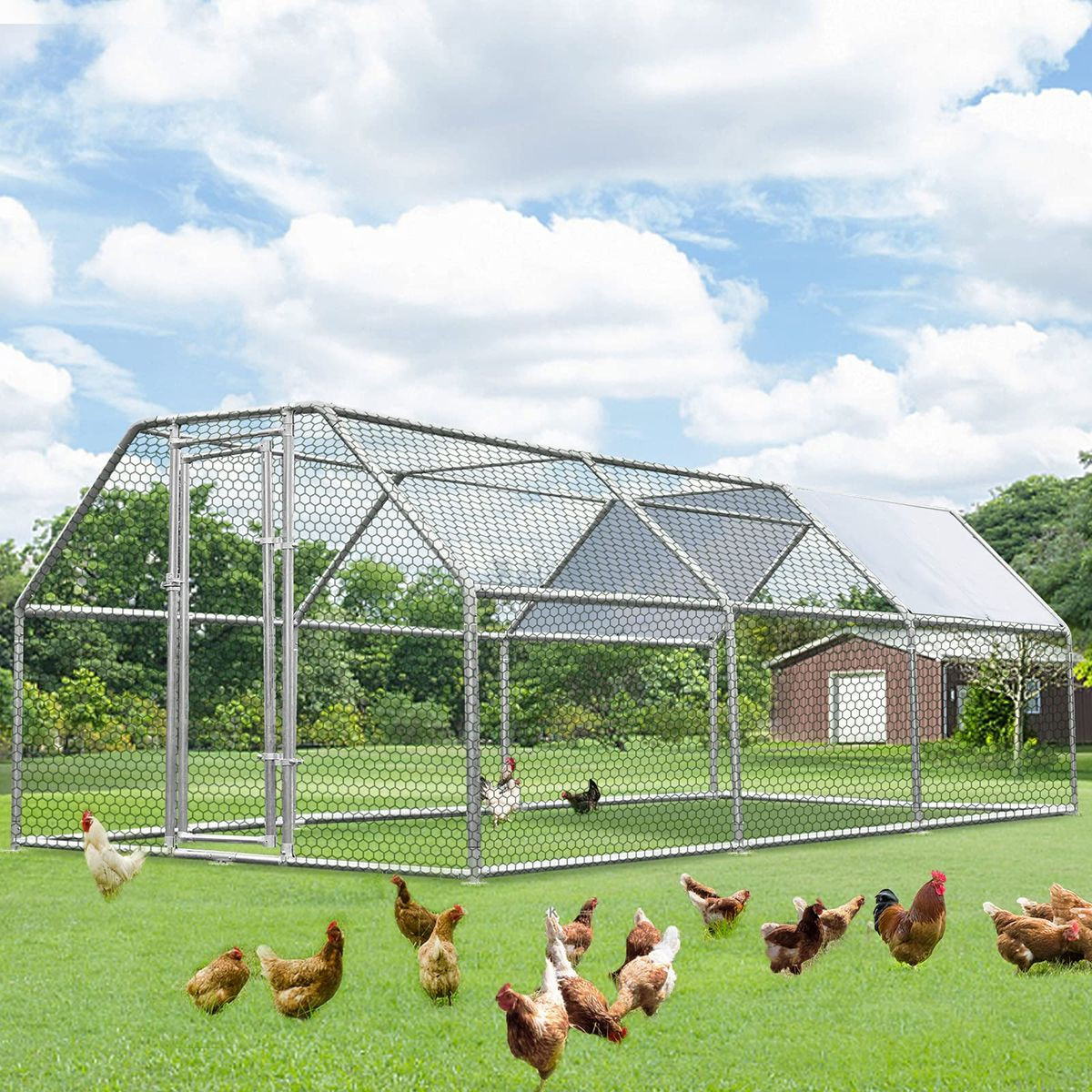 Large Walk-in Chicken Coop With Roof Cover product image