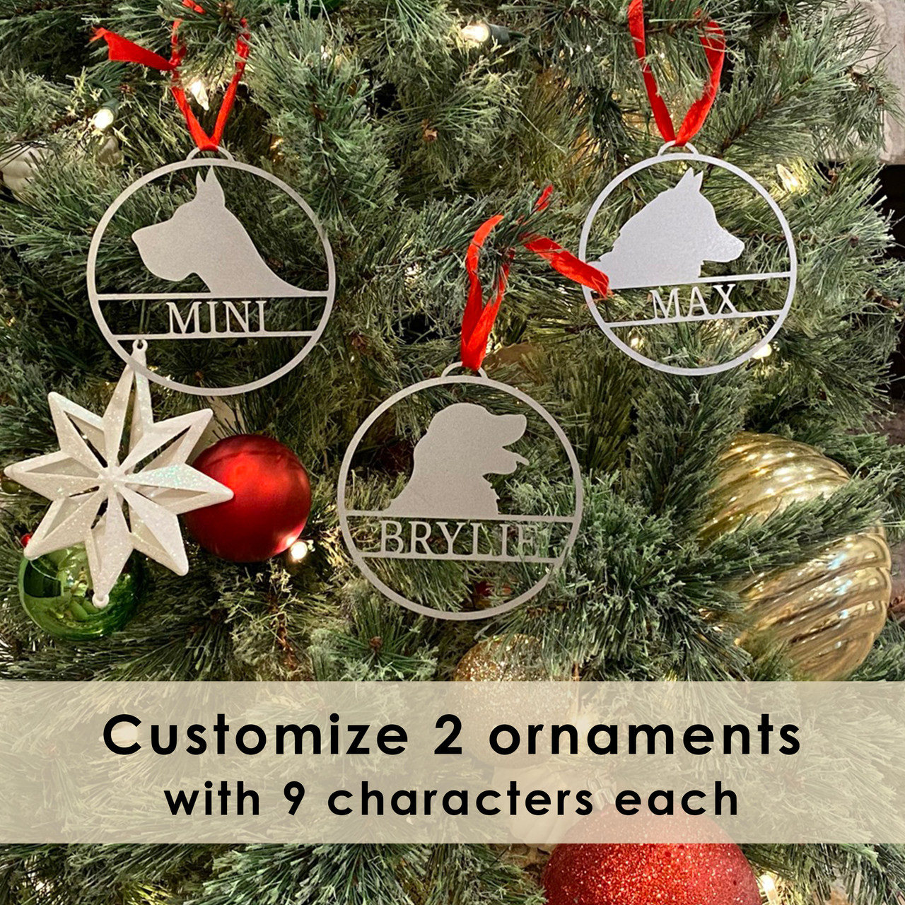 Personalized Pet Christmas Tree Ornaments (Set of 2) product image