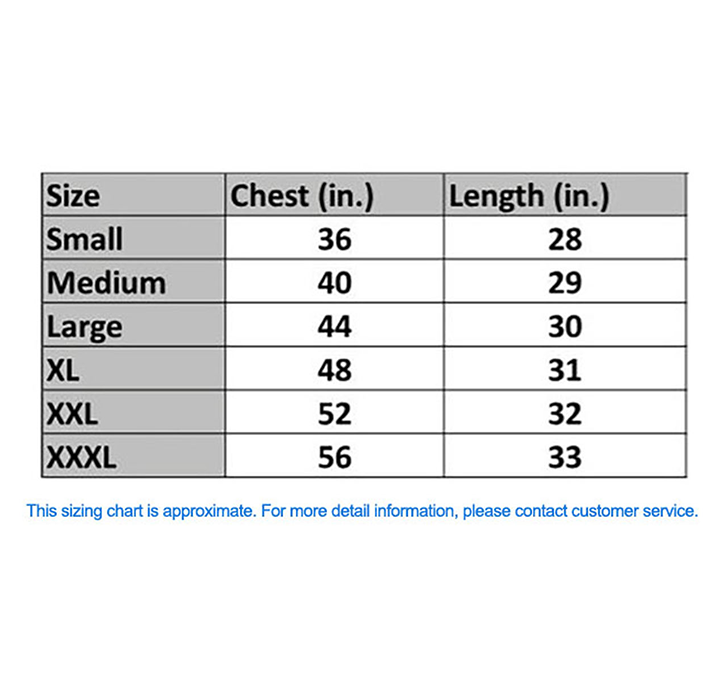 Men’s Football Champions New England T-Shirts product image