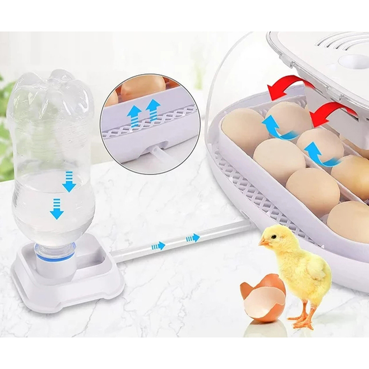 Egg Incubator with Auto-Turning Mechanism & Filtration System product image