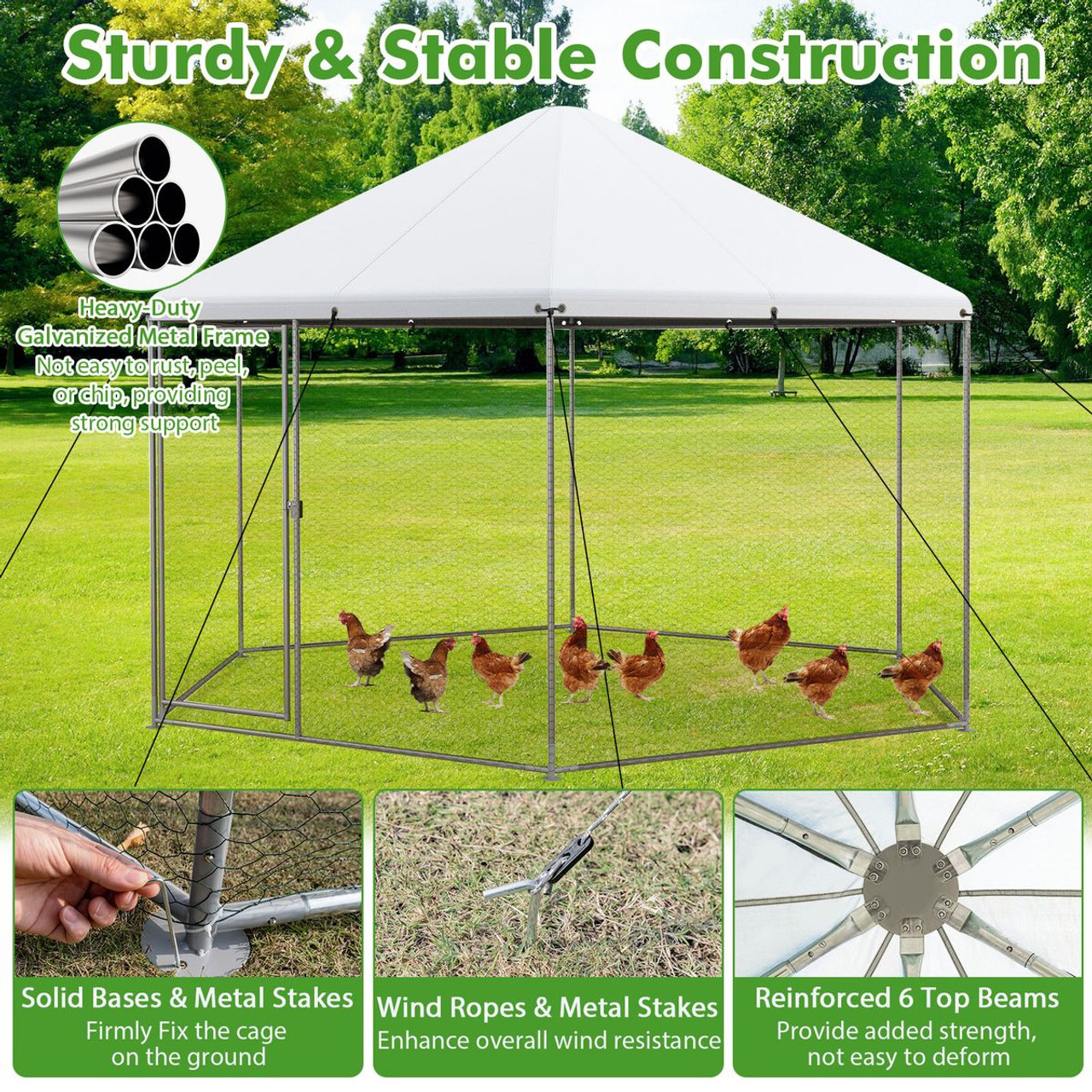 Large Walk-in Heavy-Duty Chicken Coop product image