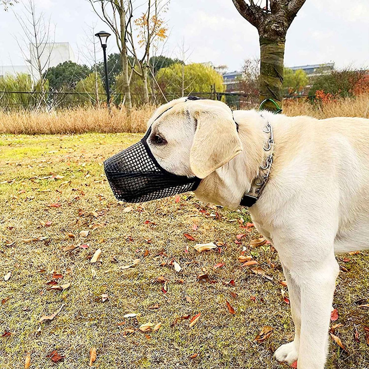 iMounTEK Mesh Dog Muzzle Mask product image