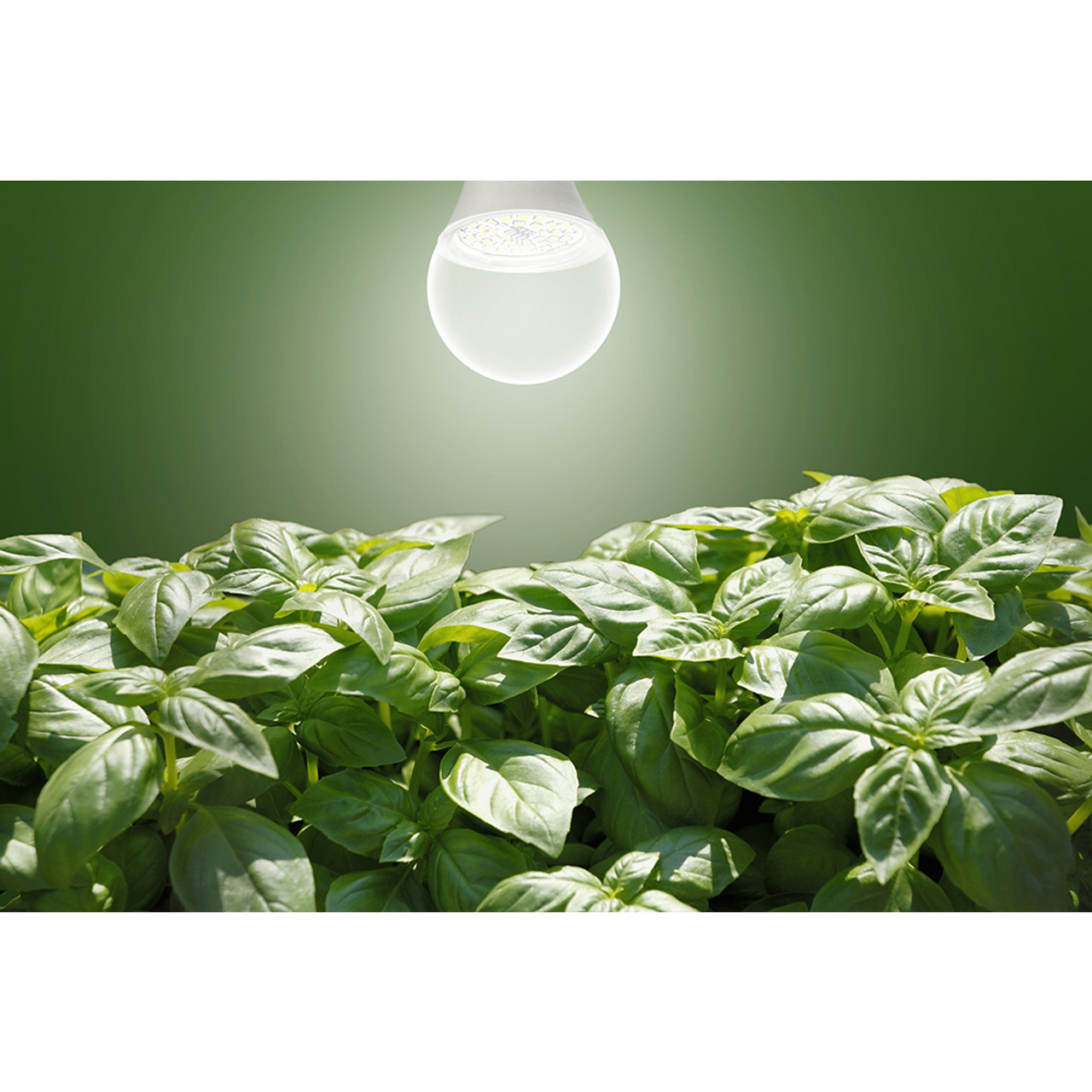 Touch of ECO® 9W Full-Spectrum Grow Lights (1- or 2-Pack) product image