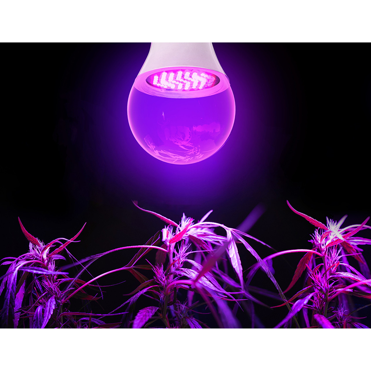 Touch of ECO® 9W Full-Spectrum Grow Lights (1- or 2-Pack) product image