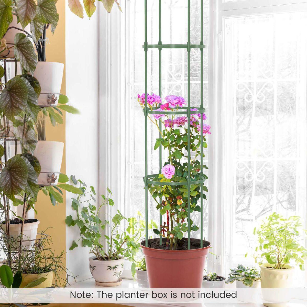 Adjustable Plant Support Tomato Cage (2-Pack) product image