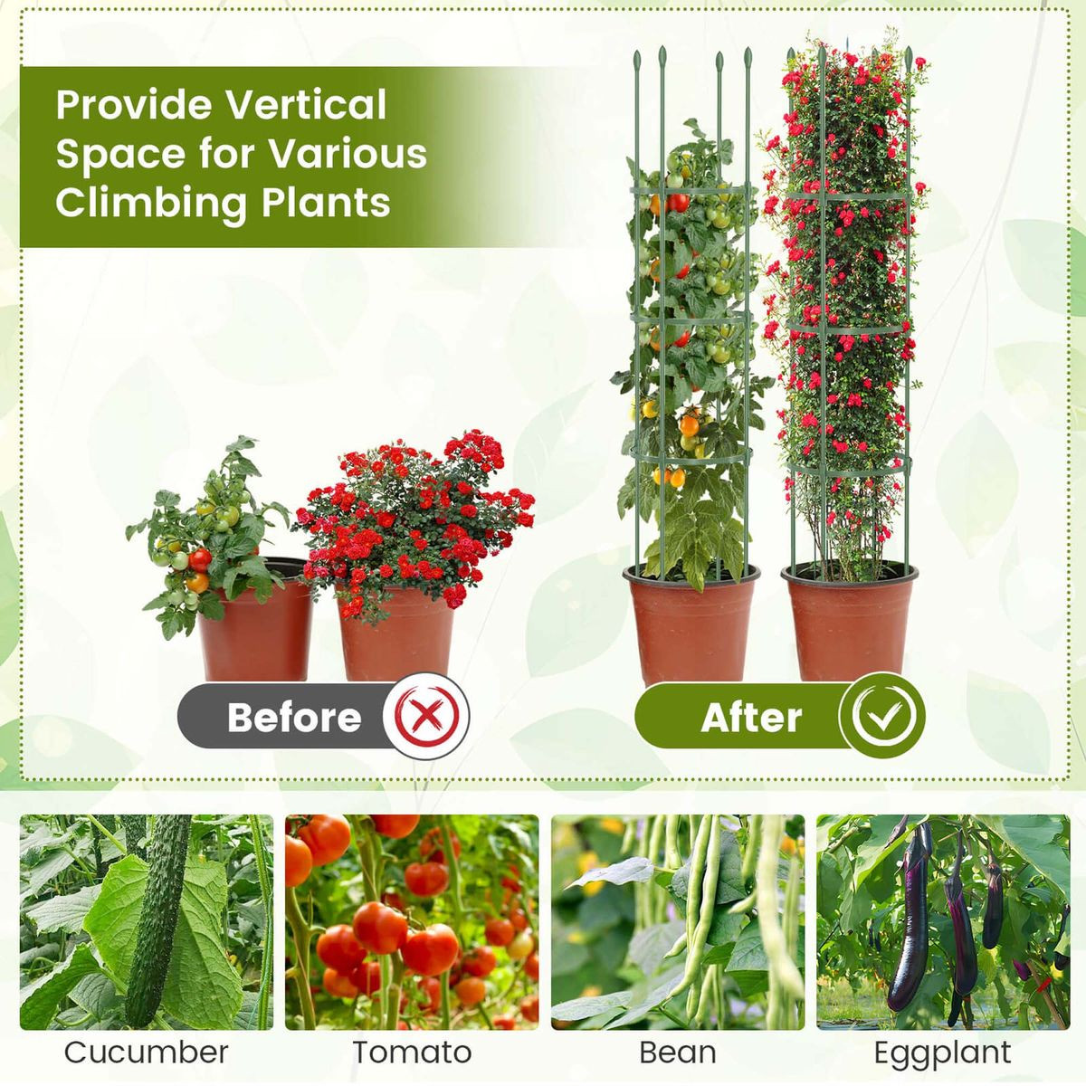 Adjustable Plant Support Tomato Cage (2-Pack) product image