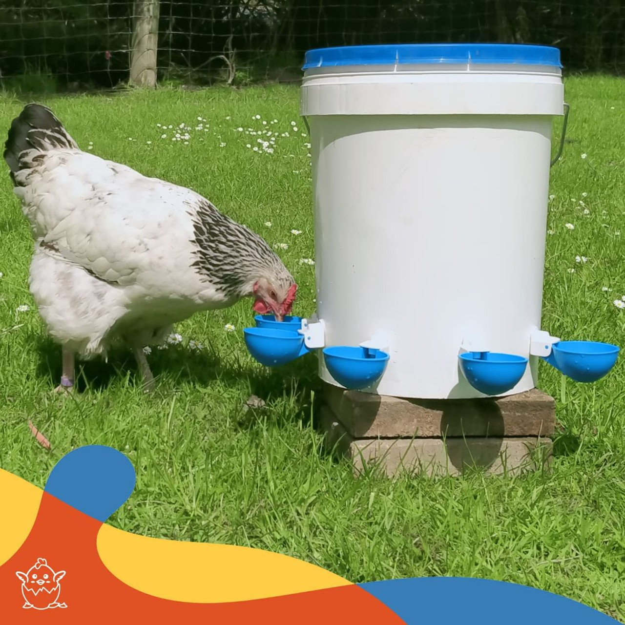 5 Pack Automatic Chicken Water Cups - Chicken Water Cups Suitable for Ducks, Geese, Turkeys and Bunny - Chicken Water Feeding Kit product image