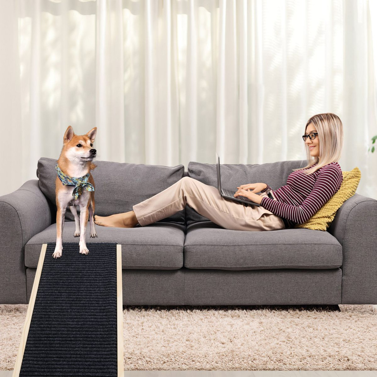 iMounTEK® Wooden Folding Pet Ramp (2 Sizes) product image