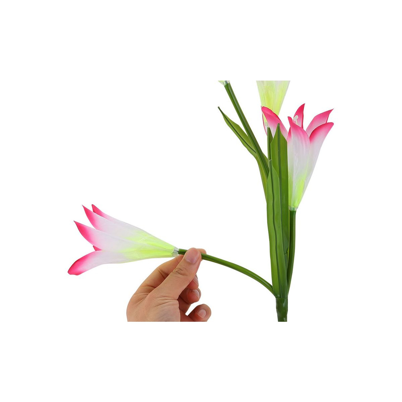 Solarek® Solar Lily Flower Garden Light (2 to 8-Pack) product image