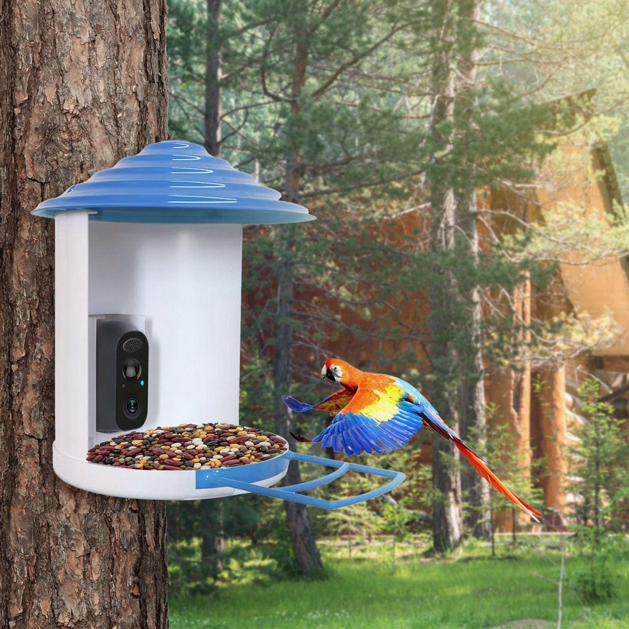 iNova™ Smart Bird Feeder with Camera product image