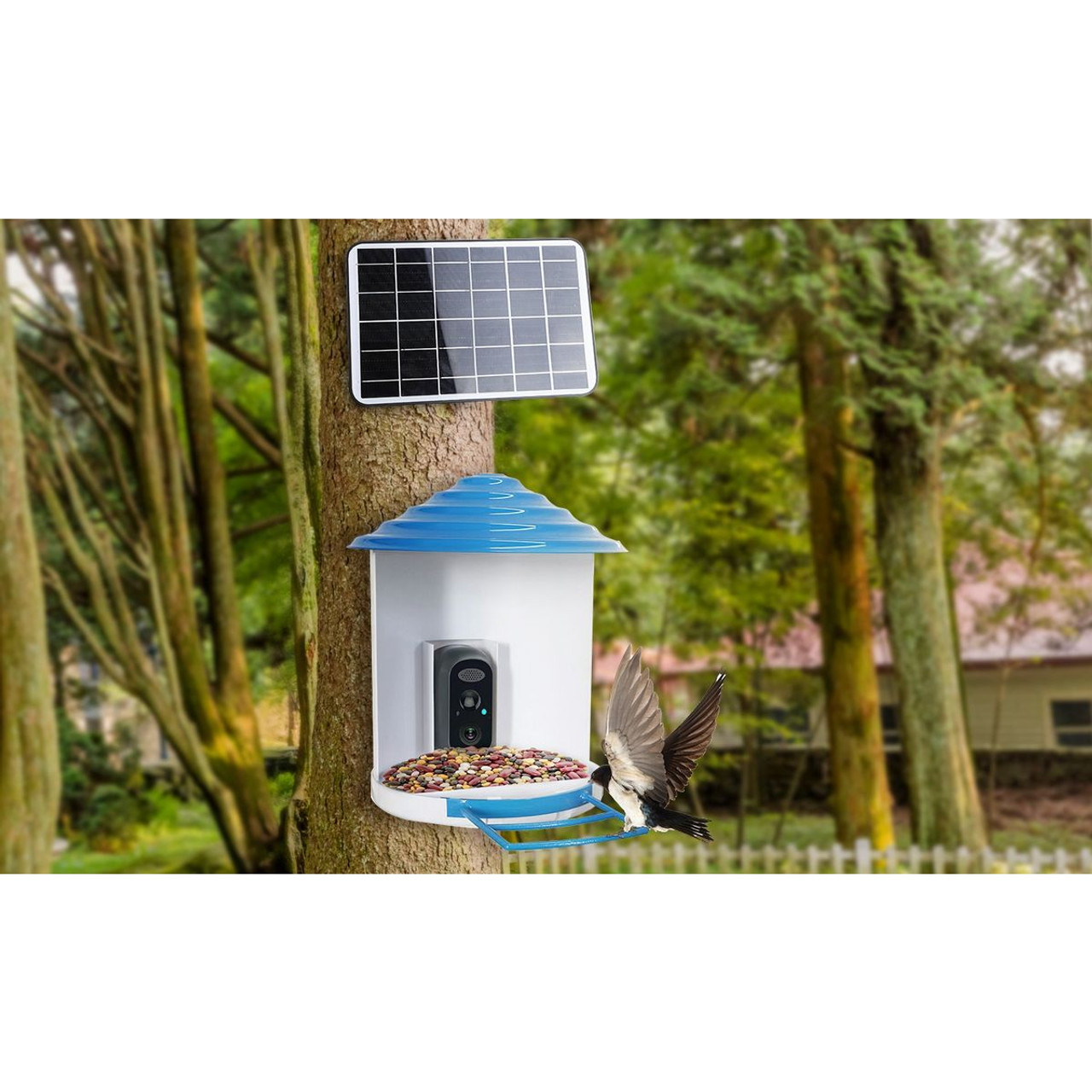 iNova™ Smart Bird Feeder with Camera product image