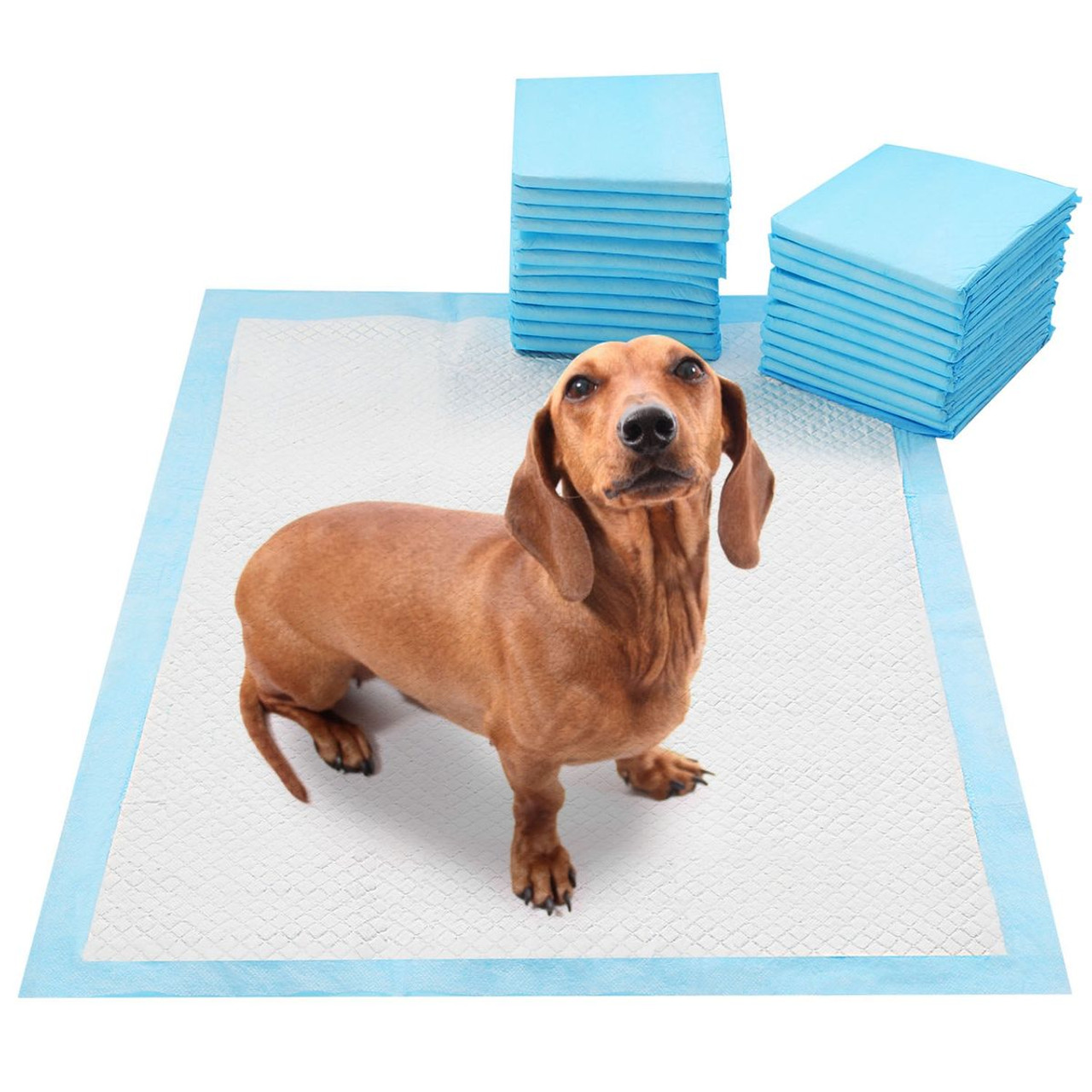 iMounTEK® Disposable Dog Training Underpad Chux, 50 ct. product image