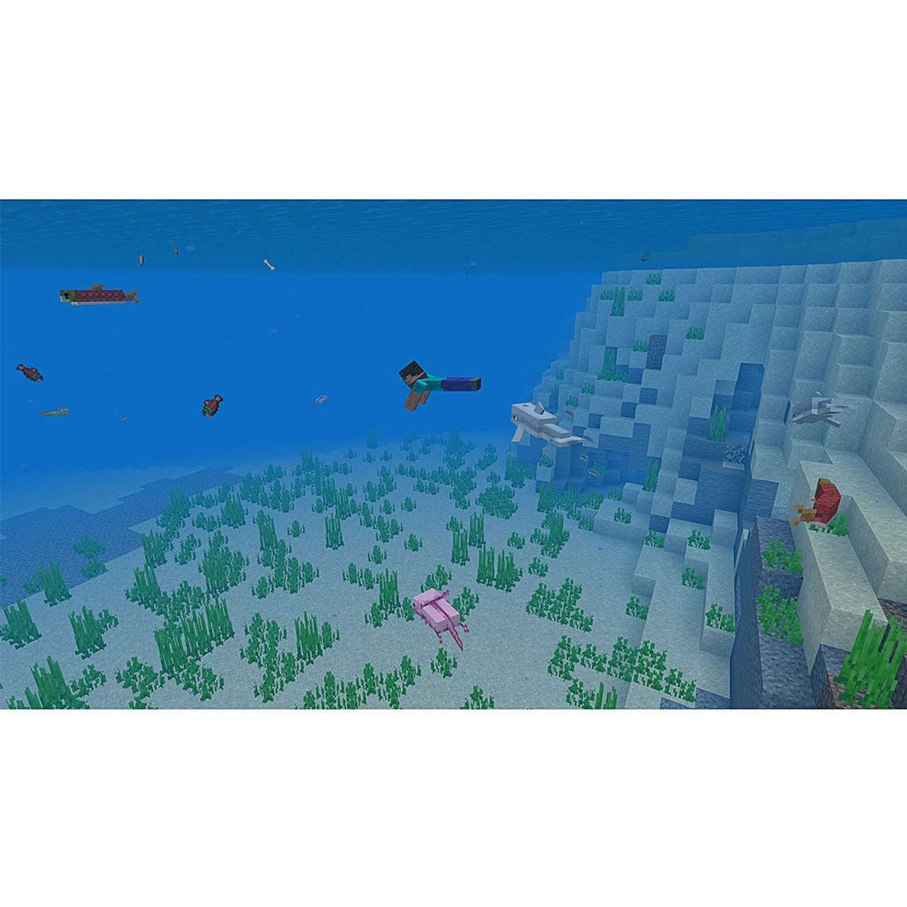 Minecraft: Java & Bedrock for PC/Windows - Digital Game product image