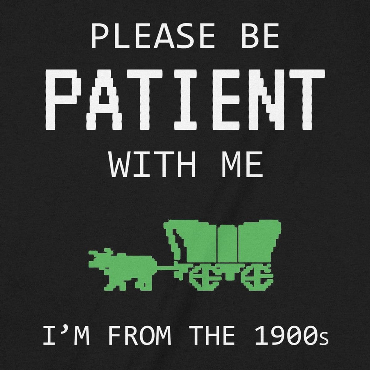 Oregon Trail Graphic T-Shirt - 'Please Be Patient with Me' product image