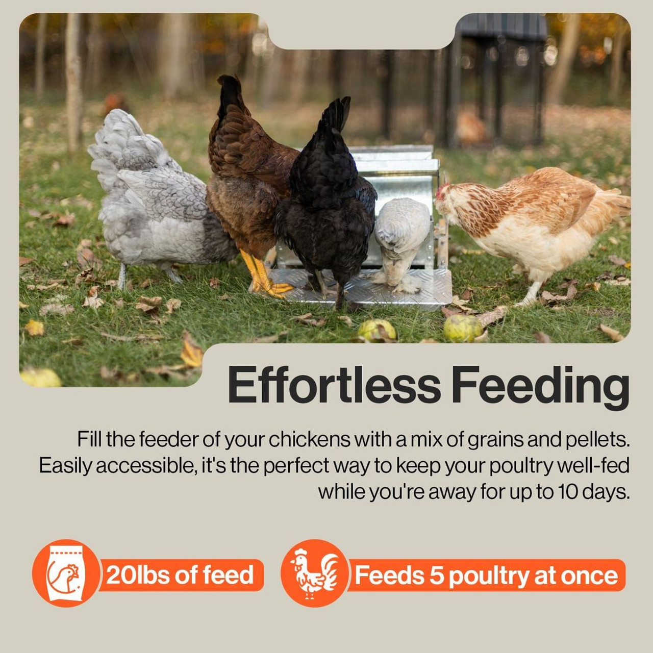 SuperHandy Automatic Chicken Feeder product image