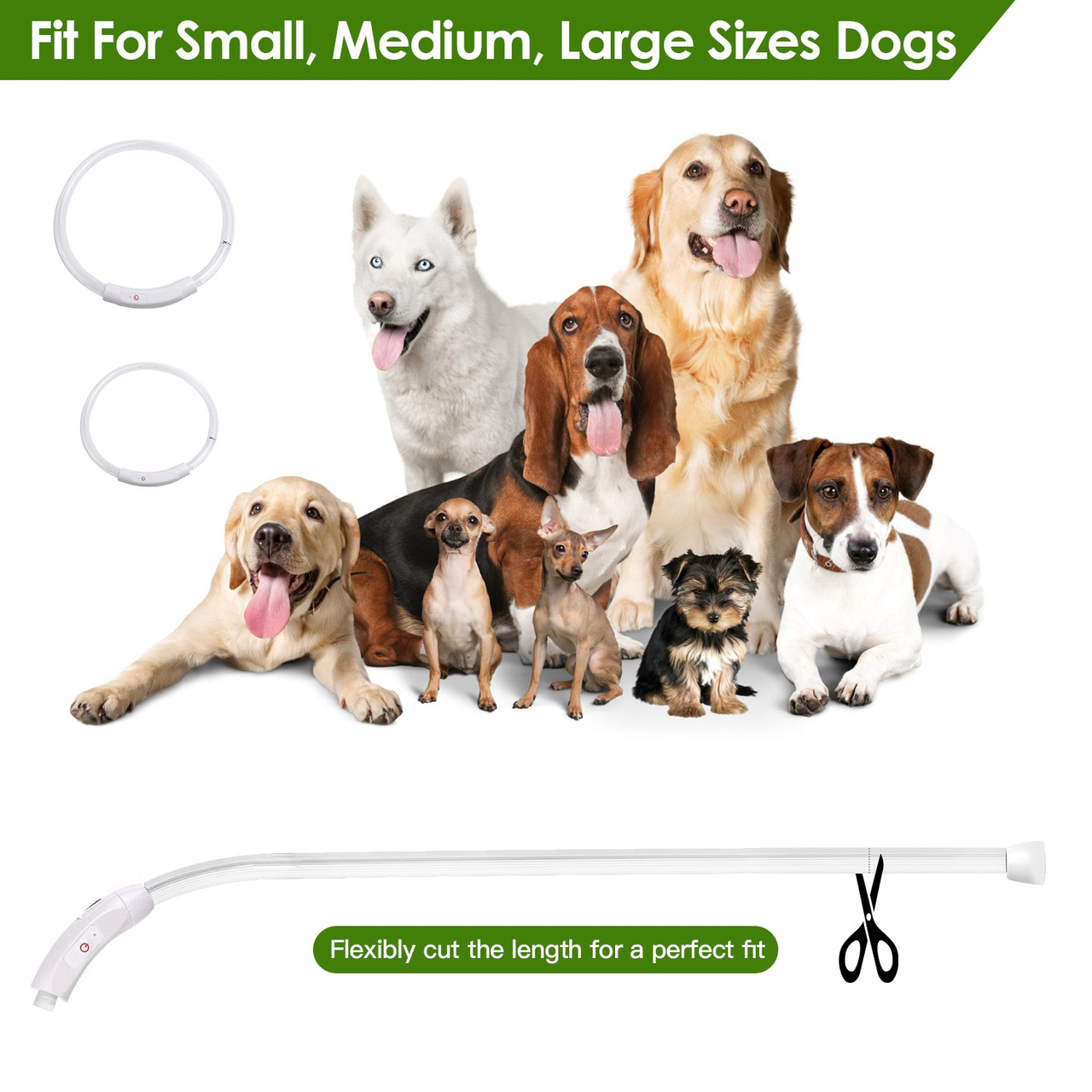 iMounTEK® USB-Rechargeable LED Dog Collar product image