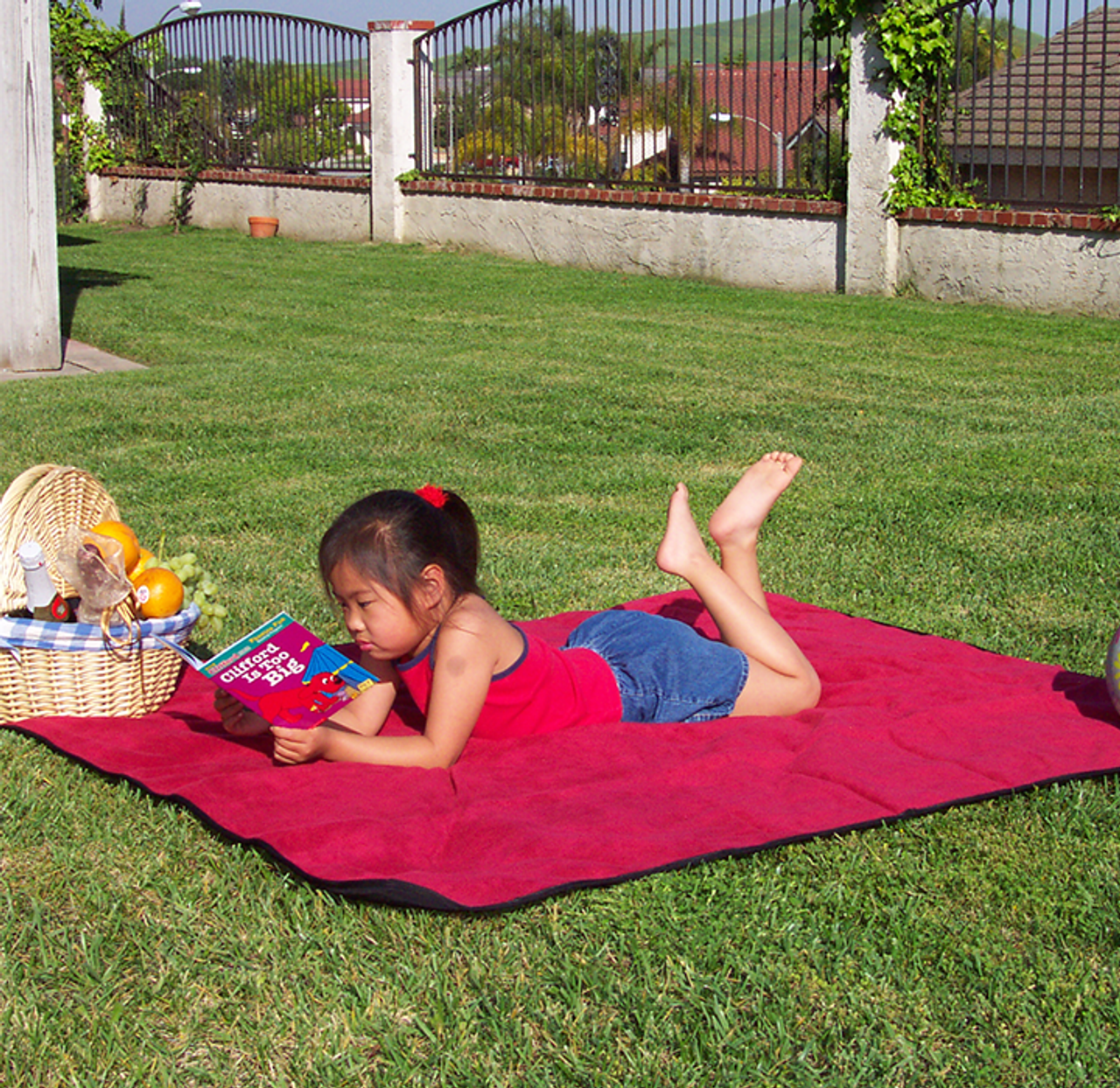 Outdoor Picnic Throw Blankets product image