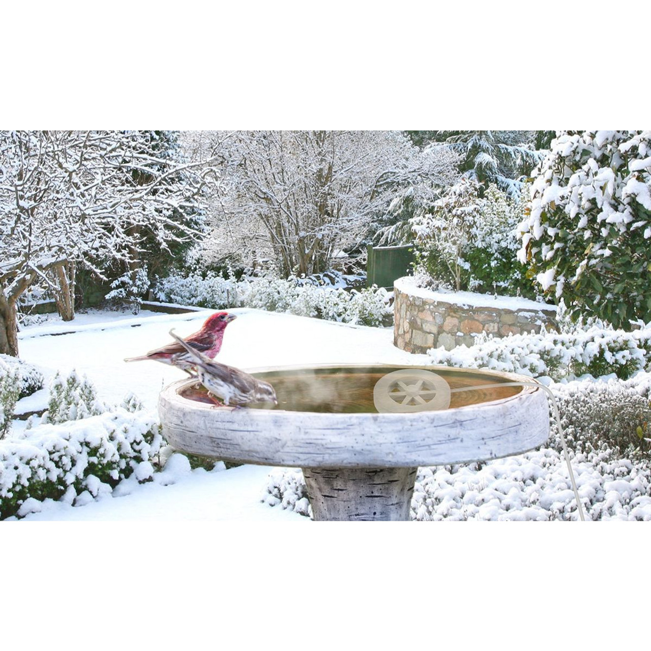 iMounTEK® 70W Automatic Bird Bath Heater product image