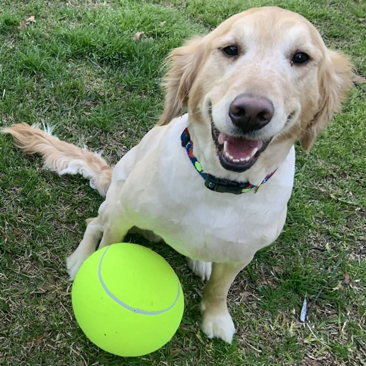 Jumbo 9.5-Inch Tennis Ball For Pets with Pump product image