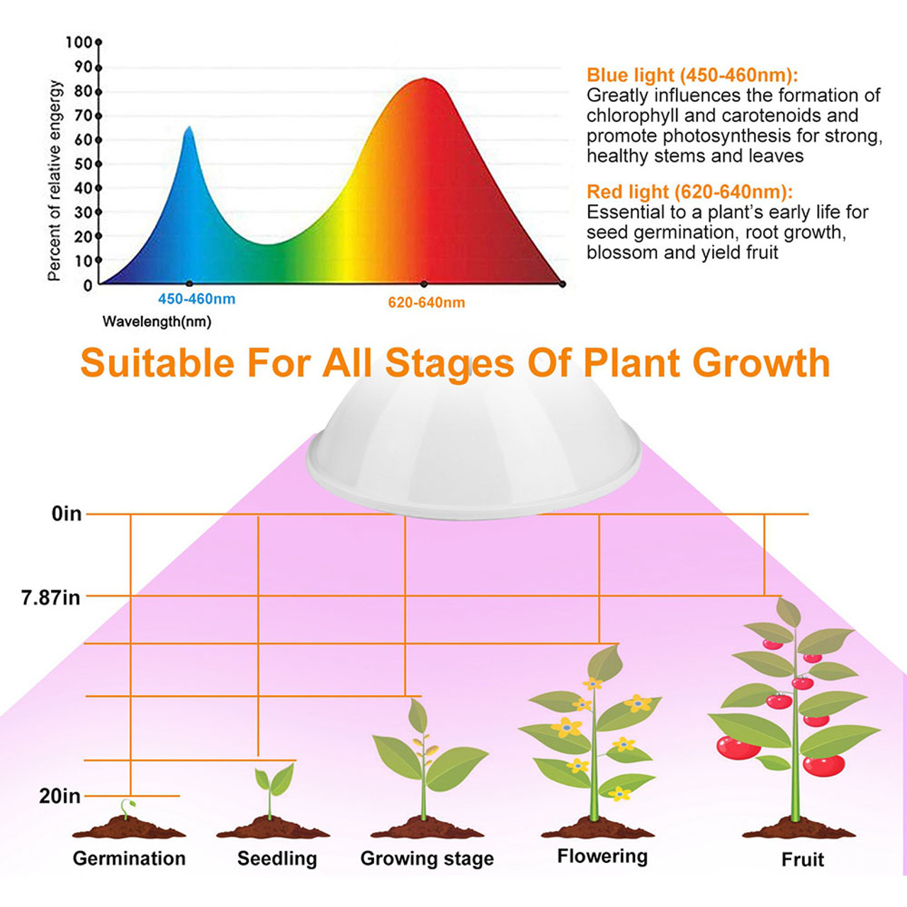iMounTEK® LED Plant Grow Light with 12W Red/Blue Bulb and Clip-on Base product image