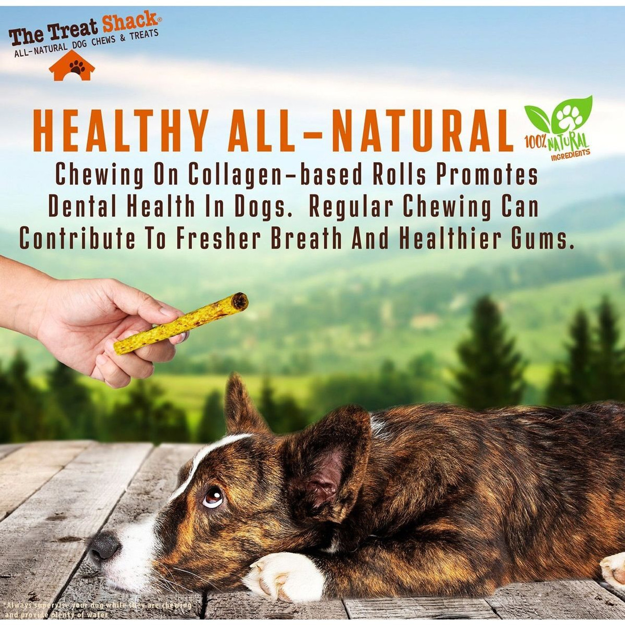 6-Inch Beef Crunchy Rolls Dog Treats by The Treat Shack product image