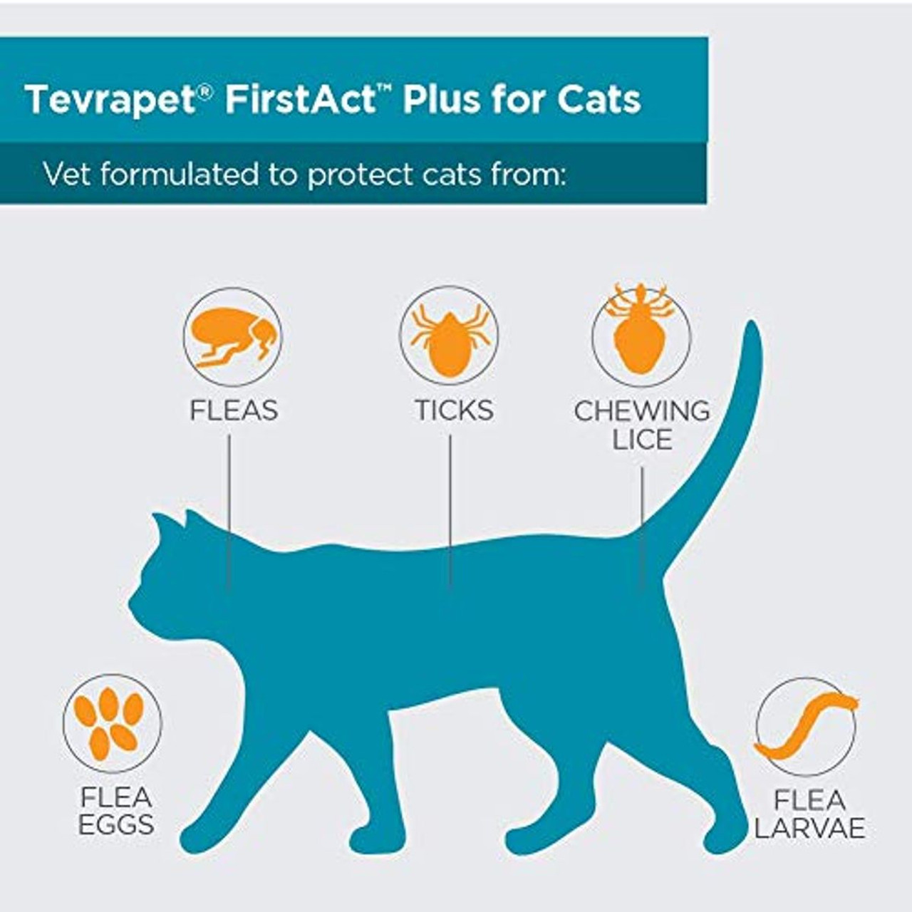 TevraPet FirstAct Plus for Cats - Flea & Tick Treatment (3-Month Supply)  product image