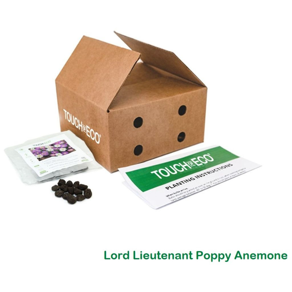 Easy Growing & Long-Lasting Flower Bulbs  (4 Varieties) product image