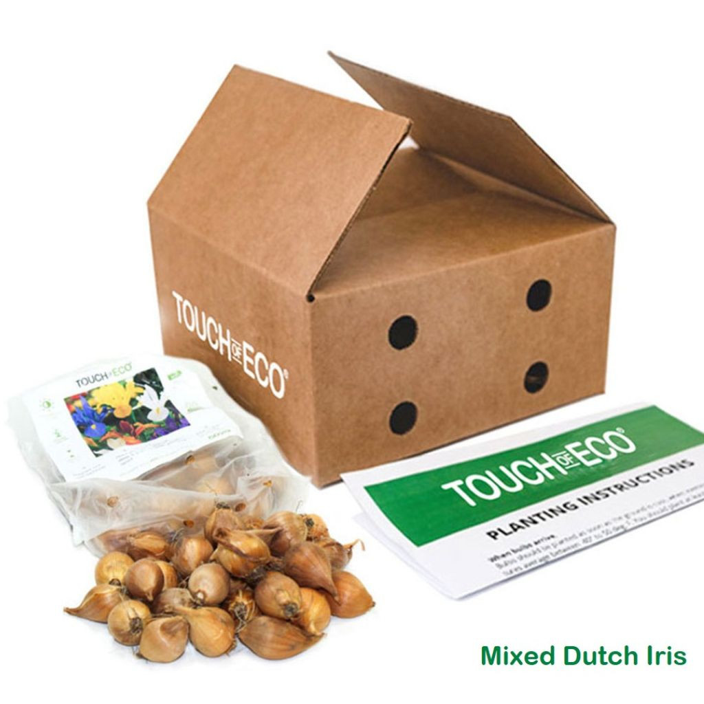 Easy Growing & Long-Lasting Flower Bulbs  (4 Varieties) product image