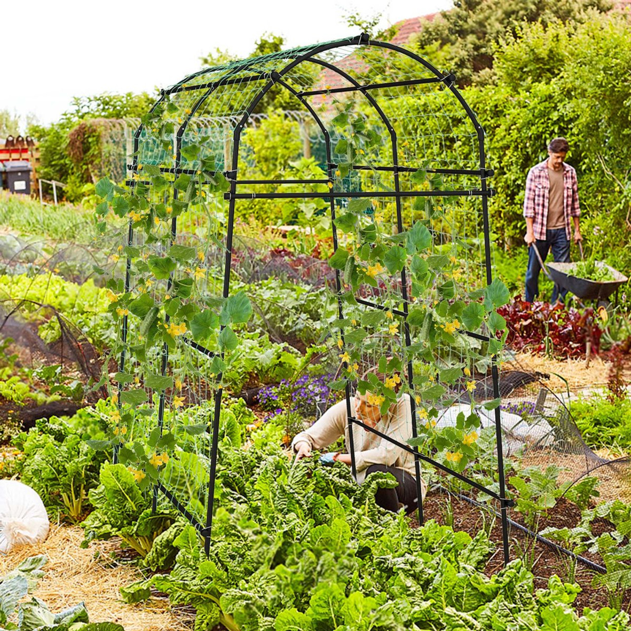 7.5-Foot Garden Arch Trellis with PE Coated Metal Structure product image