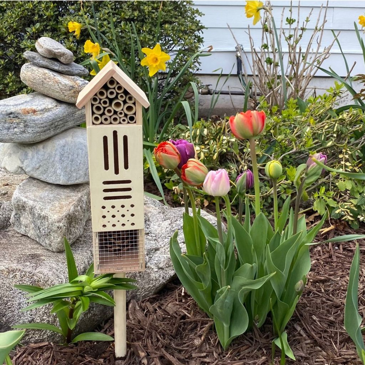 Bee & Butterfly Wooden Insect Home or Palace (1 or 2-Pack) product image