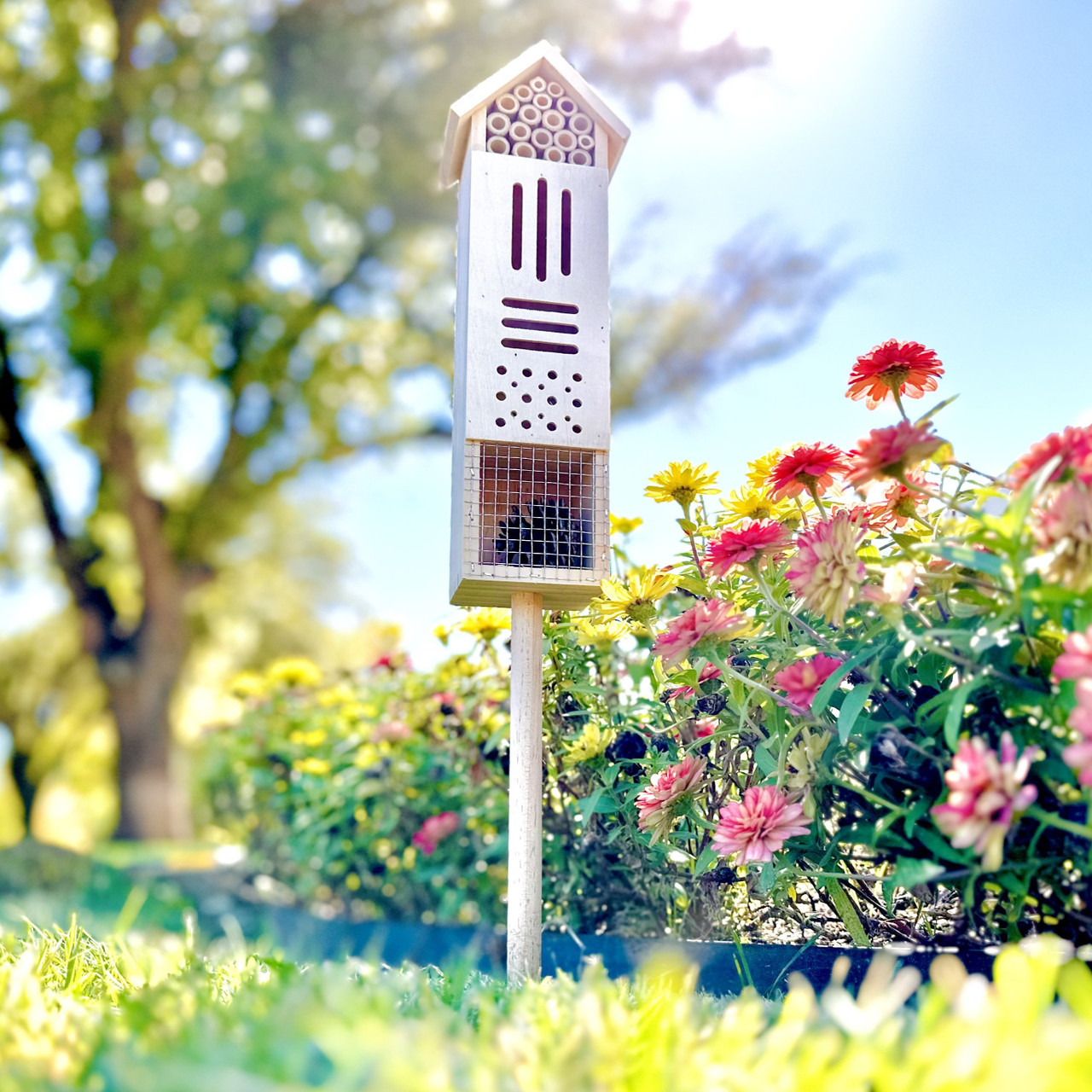Bee & Butterfly Wooden Insect Home or Palace (1 or 2-Pack) product image