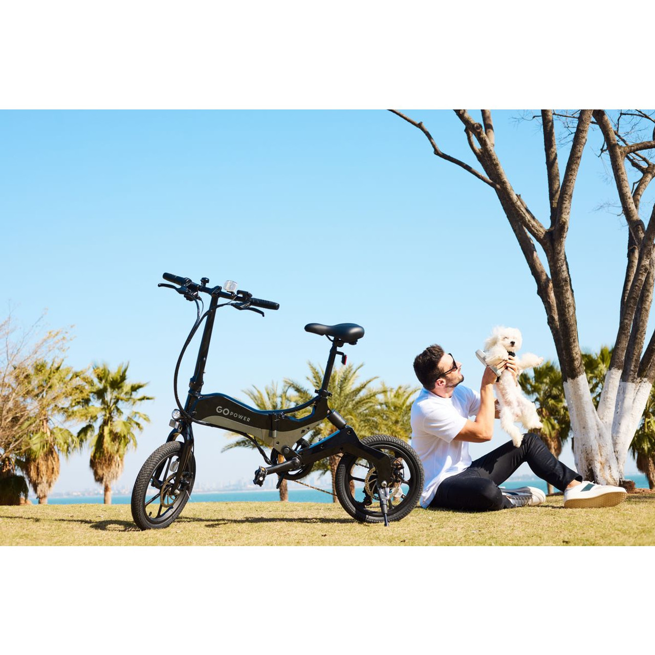 GoPowerBike GoKlik Folding Electric Bicycle product image