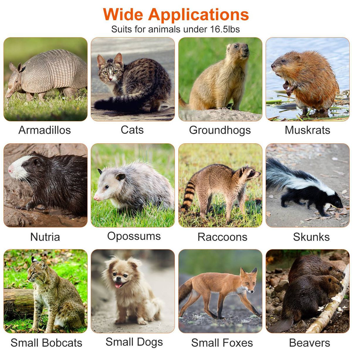 Imountek Collapsible Animal Trap Cage product image