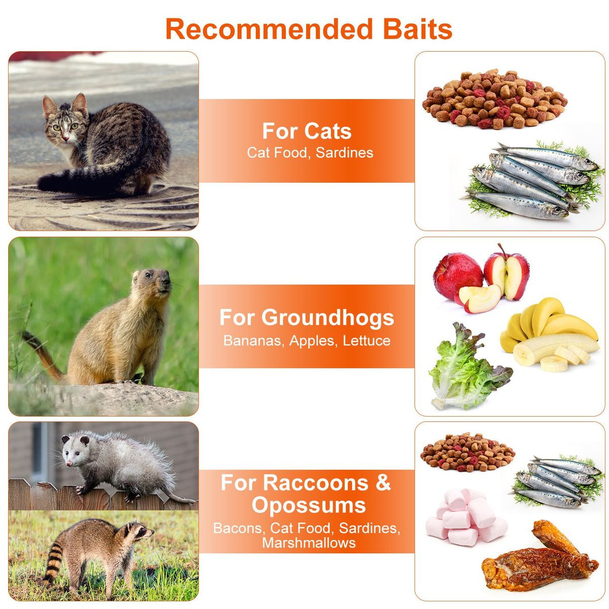 Imountek Collapsible Animal Trap Cage product image