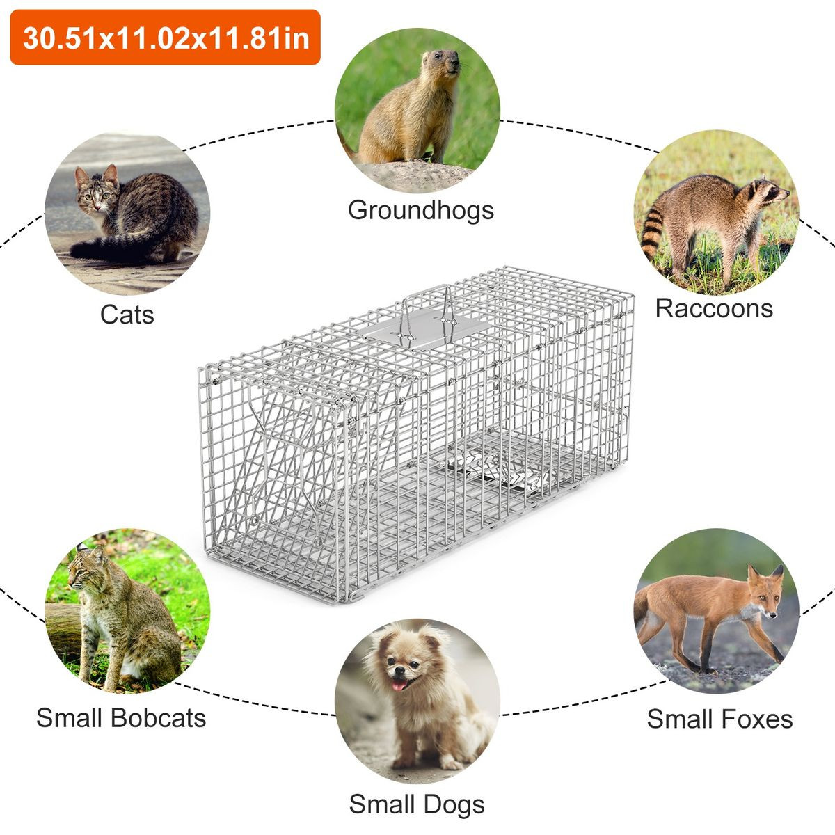 Imountek Collapsible Animal Trap Cage product image
