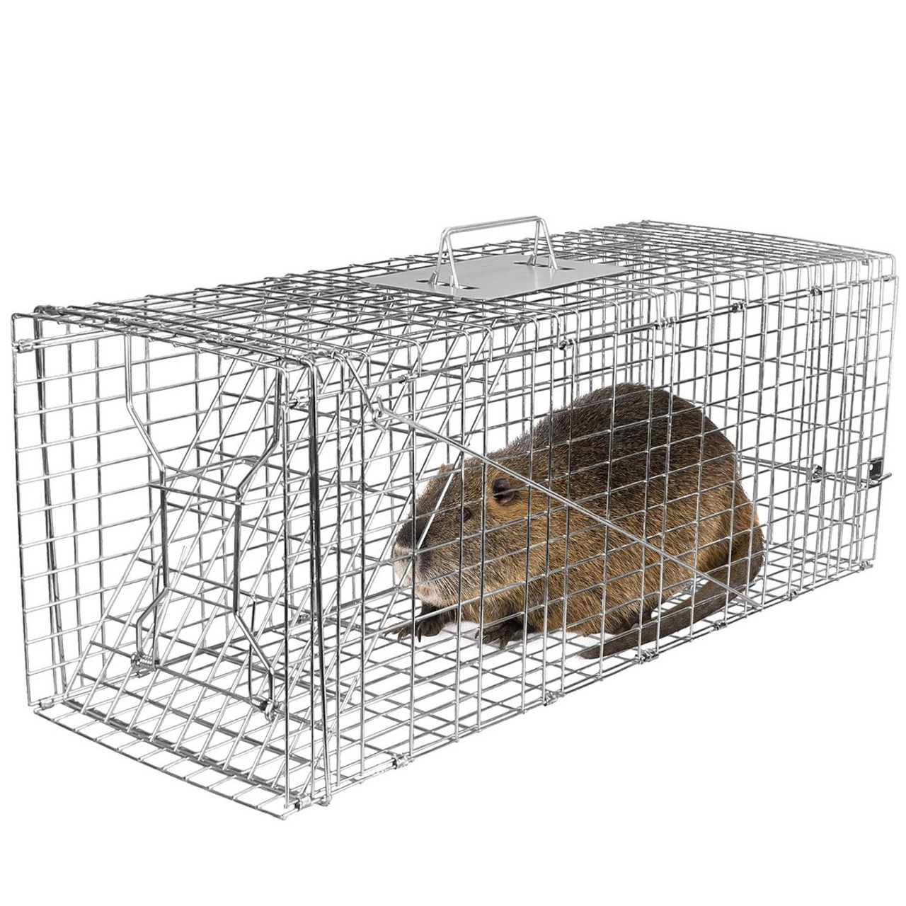 iMounTEK Collapsible Animal Trap Cage product image