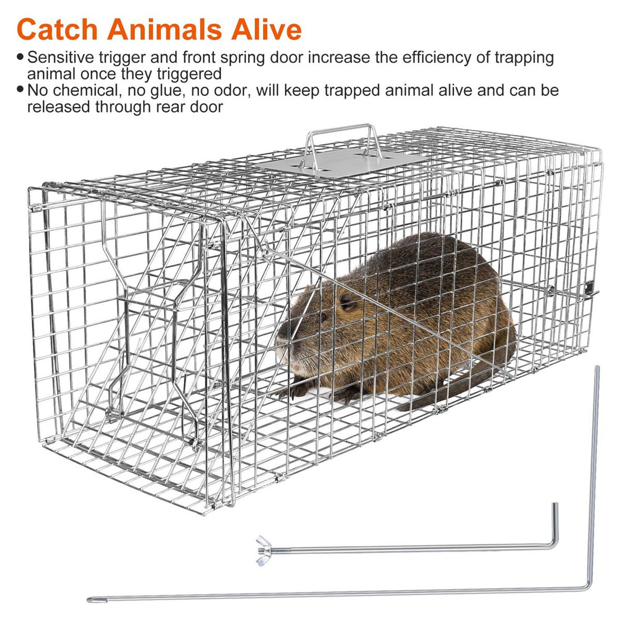 iMounTEK Collapsible Animal Trap Cage product image