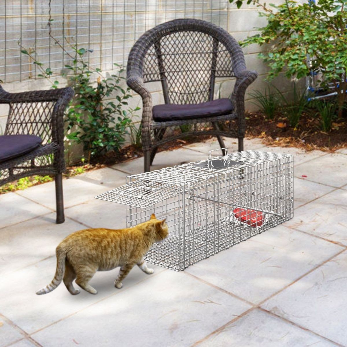 Imountek Collapsible Animal Trap Cage product image