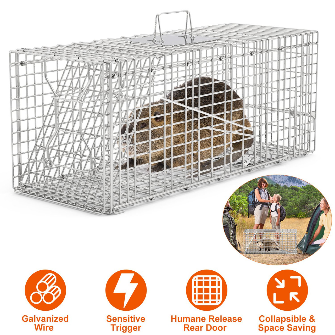 iMounTEK Collapsible Animal Trap Cage product image