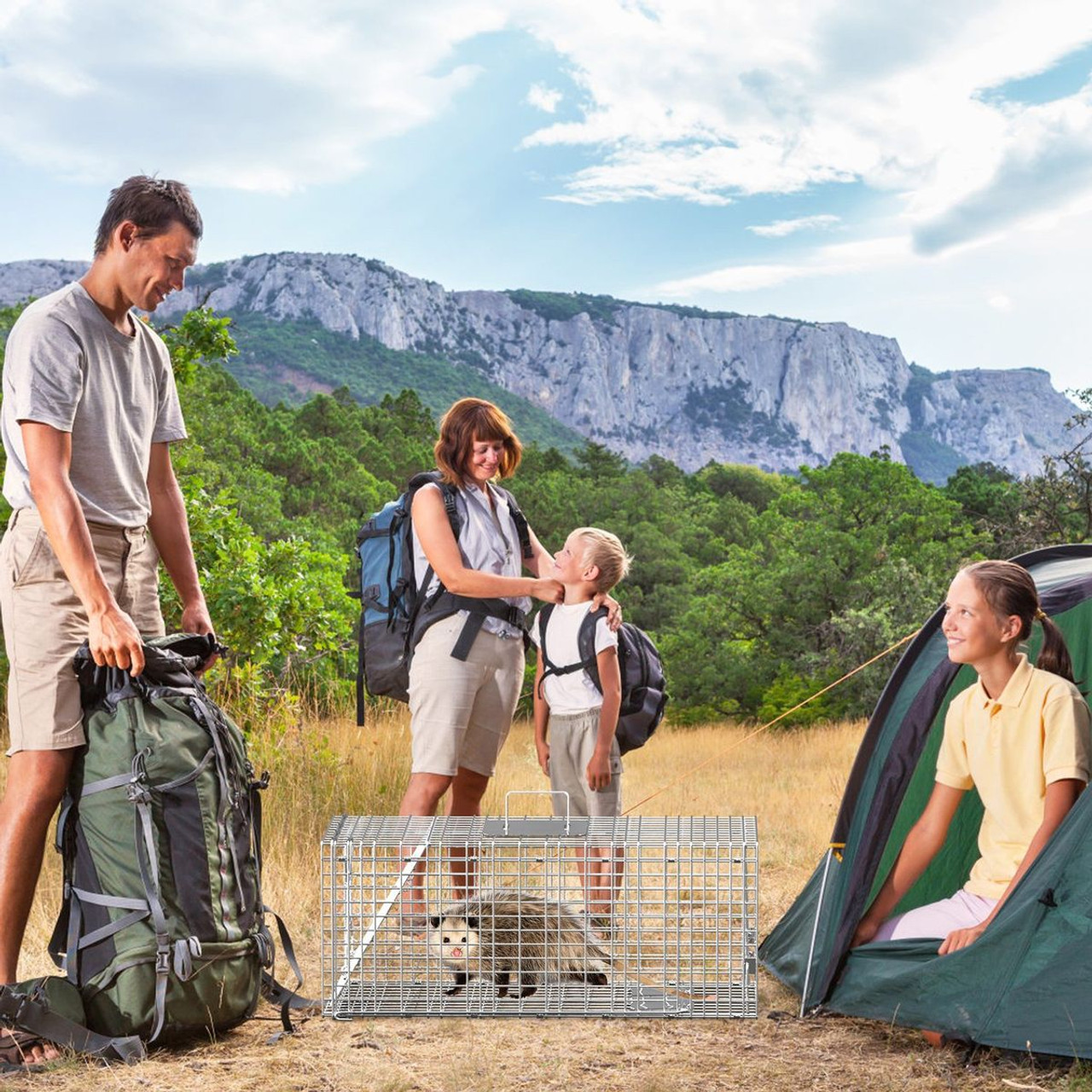 iMounTEK Collapsible Animal Trap Cage product image