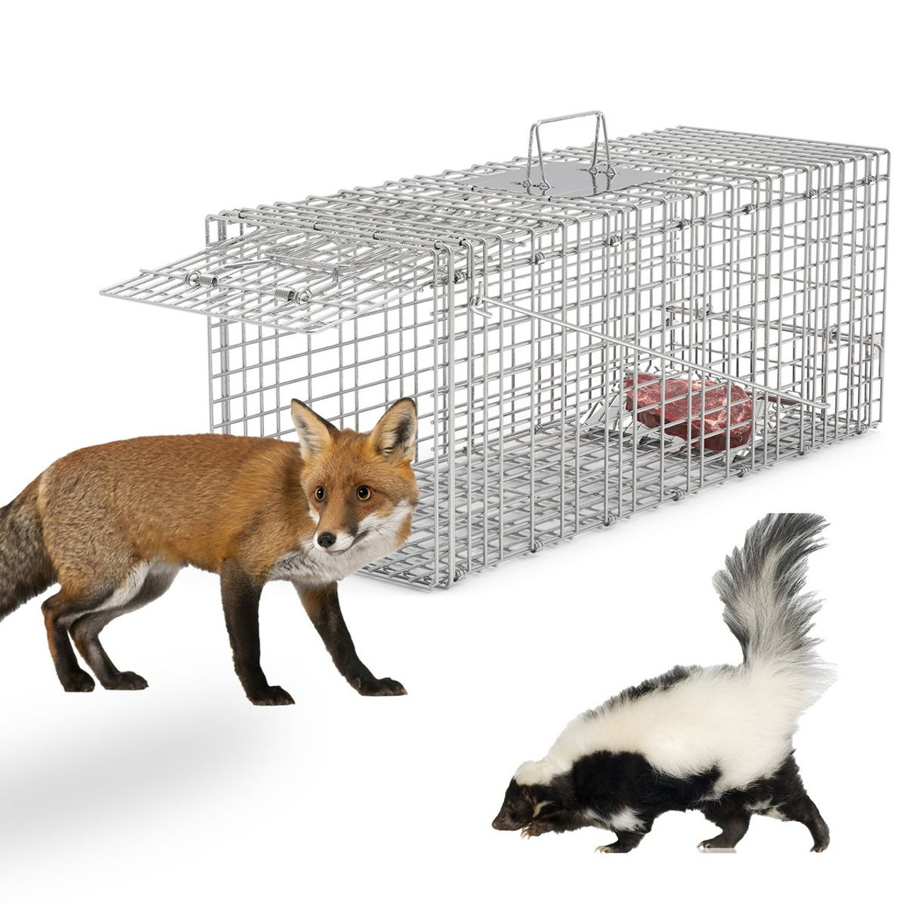 iMounTEK Collapsible Animal Trap Cage product image