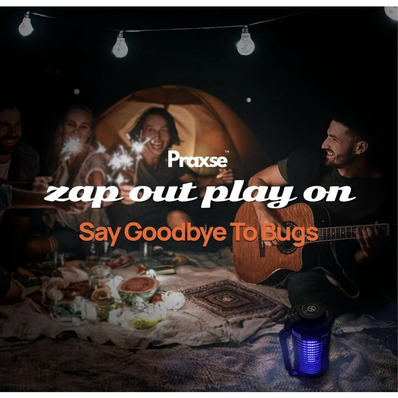 Outdoor 4800V Solar Bug Zapper product image