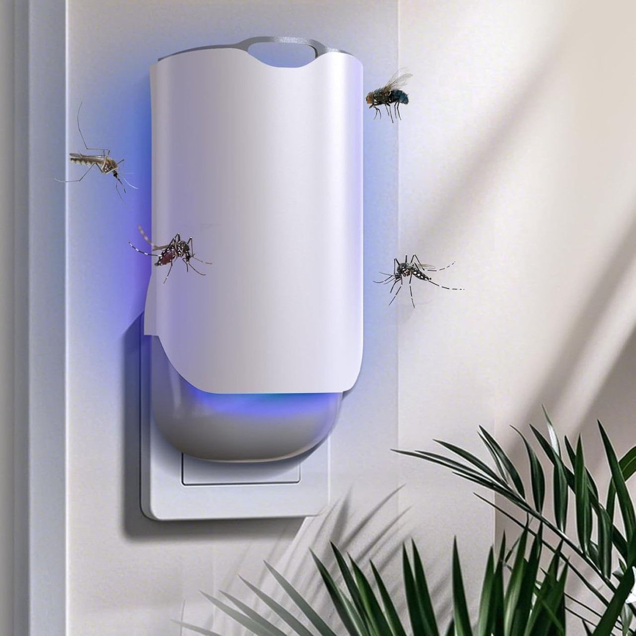 Indoor Plug-in Bug Trap + 3 Glue Cards product image