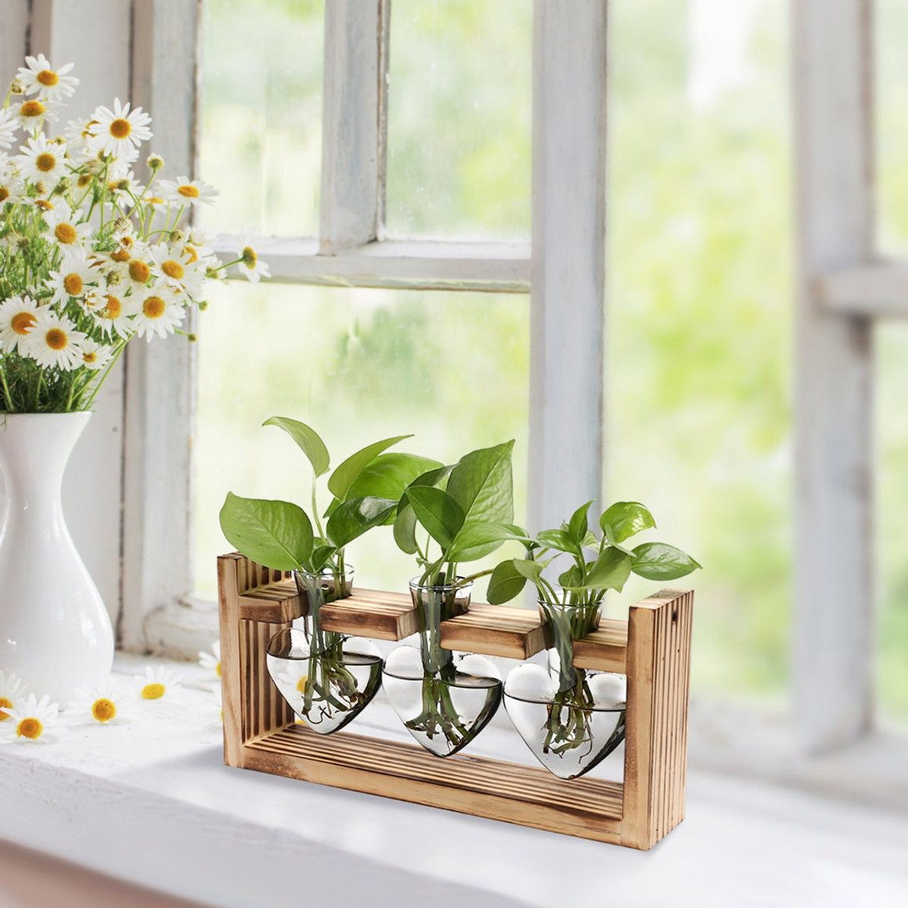 Desktop Plant Propagation Station product image