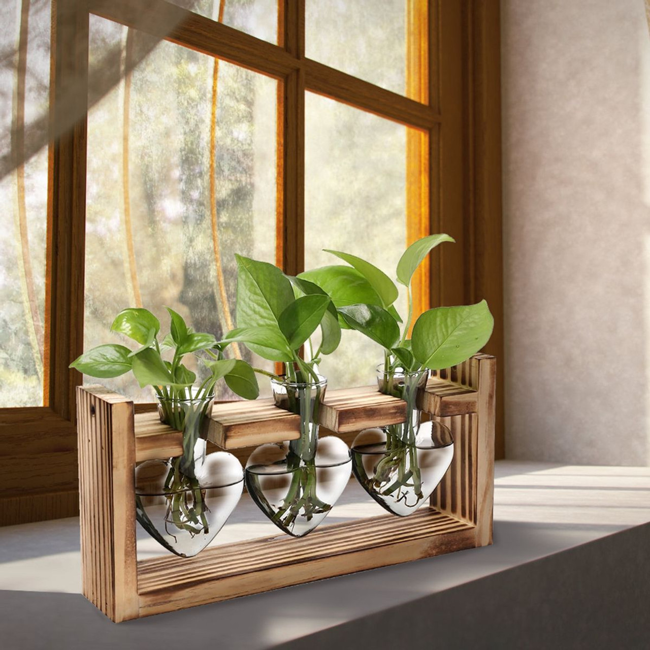 Desktop Plant Propagation Station product image