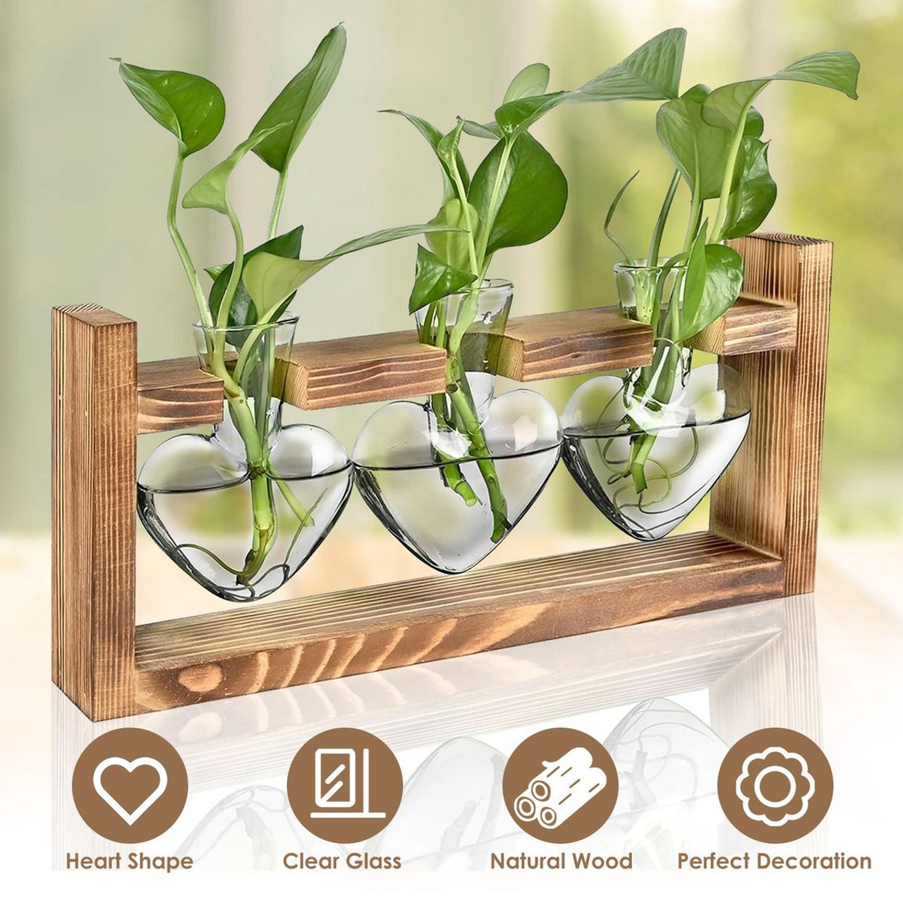 Desktop Plant Propagation Station product image