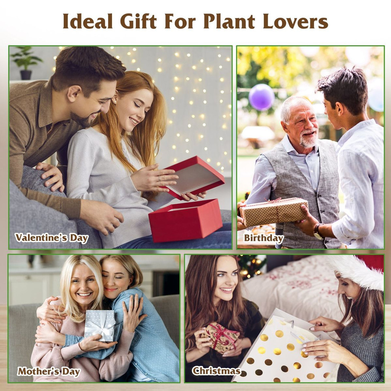 Desktop Plant Propagation Station product image