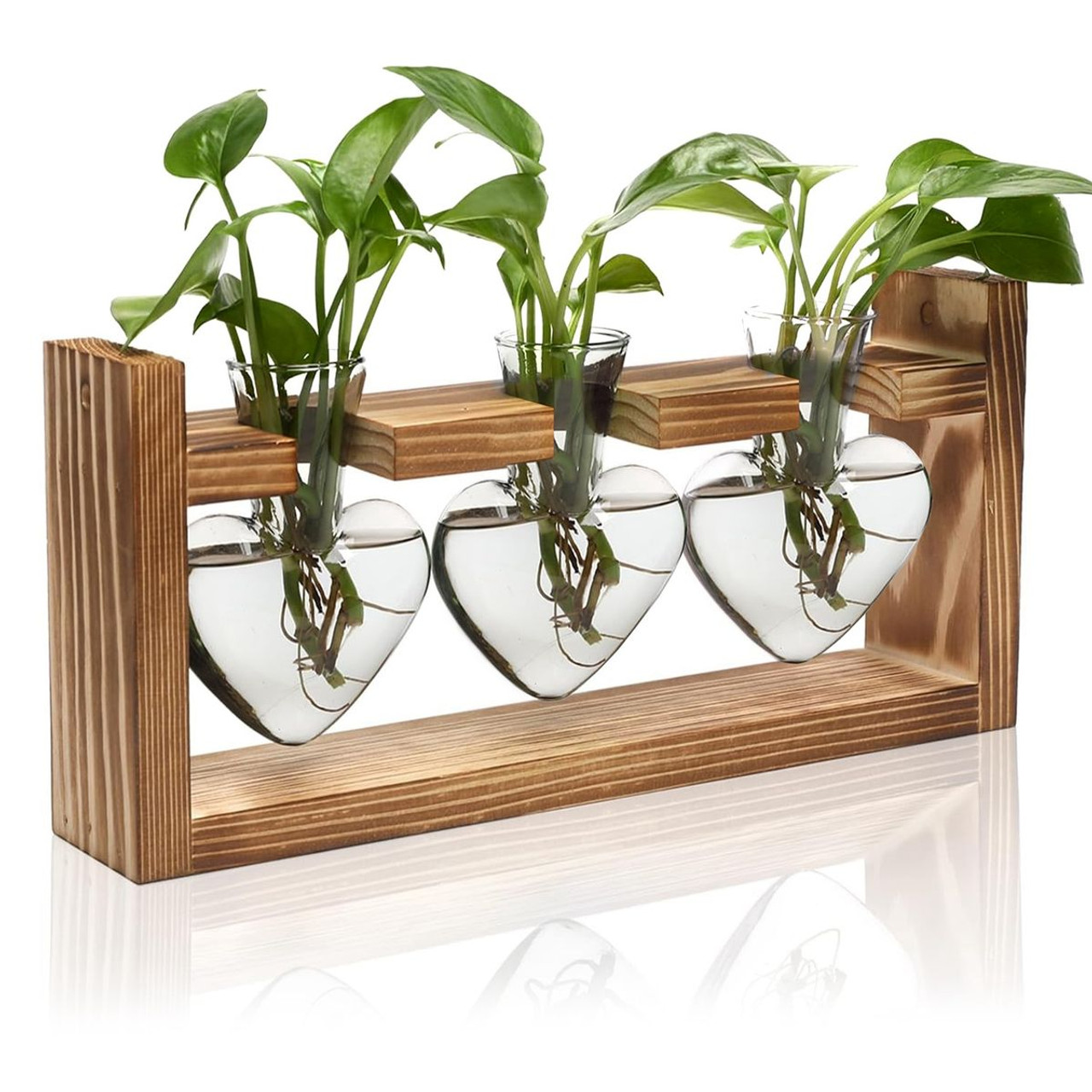 Desktop Plant Propagation Station product image